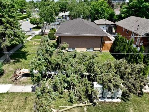 Storm-Damaged Fallen Tree Blocking Residential Sidewalk After Severe Windstorm Stock Photos