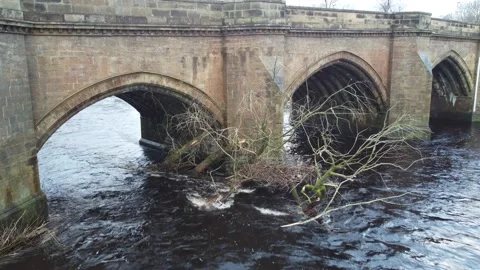 Storm Damaged Fallen Tree Stuck on Sandstone Bridge in the River Tees Yorkshire Stock Footage 166806154