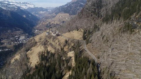 Storm damaged forest and trees in the Alps, woodlands snapped by strong winds Stock Footage 126816462