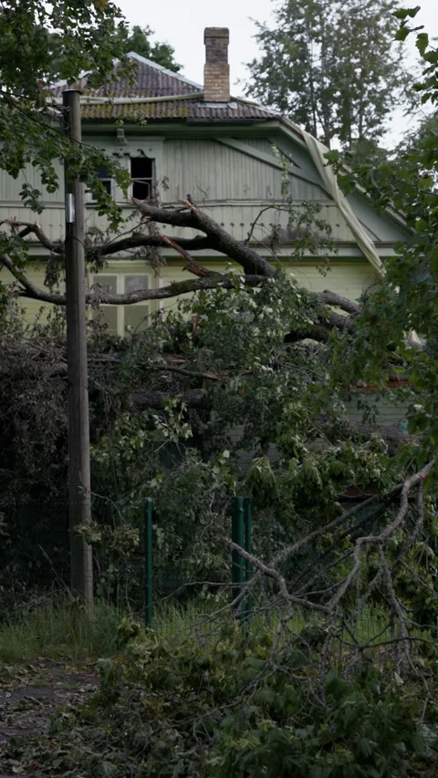 Storm damaged house with fallen tree branches blocking yard and broken roof area Stock Footage 345373749