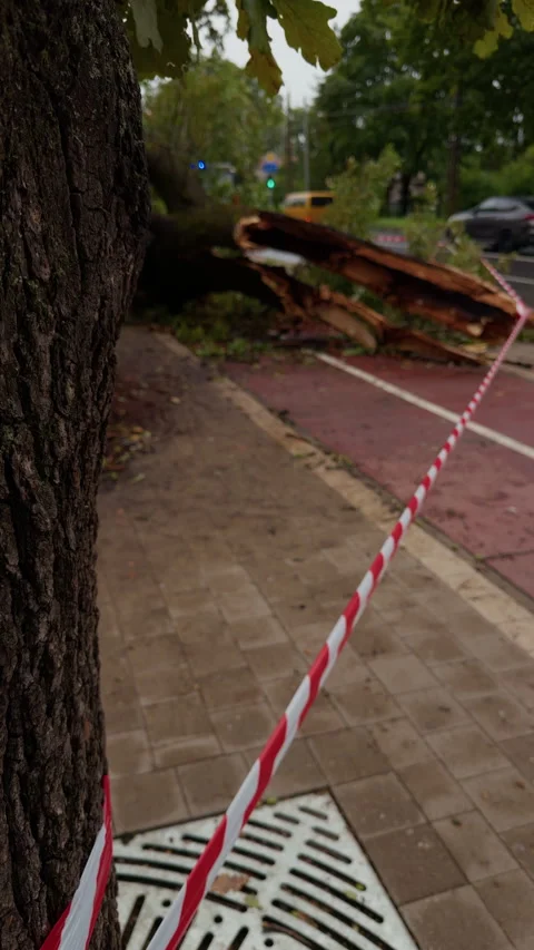 Storm damaged street blocked by fallen tree trunk and caution tape beside urban Stock Footage 345530437