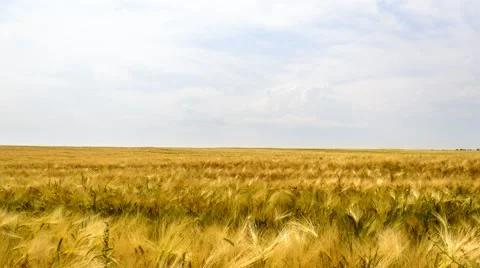Storm dark clouds over field Stock Footage 50754757