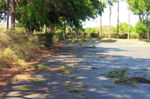 Storm debris Stock Photos