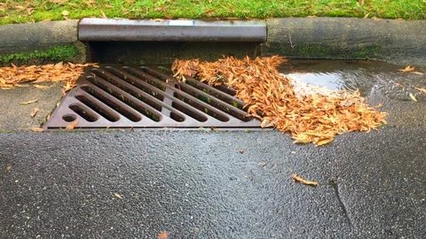 Storm drain clogged with leaves Stock Footage 98217648