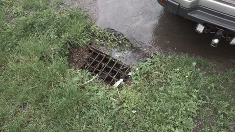 Storm drain with flowing water at roadside surrounded by green grass and wet Video stock 344094159