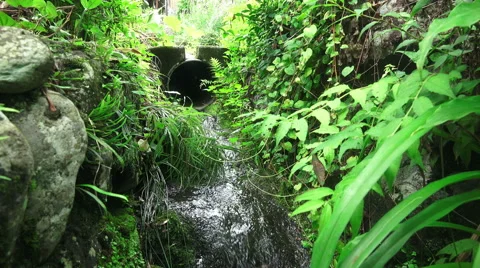 Storm Drain In Green Forest Ome Japan Stock Footage 50634531