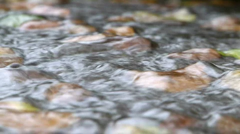 Storm Drain Pull Stock Footage 653210