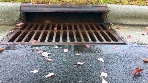 Storm drain in rain Stock Footage 98218231