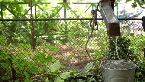 Storm drainage system, metal gutter with water pouring into a substituted bucket Video stock 277860136