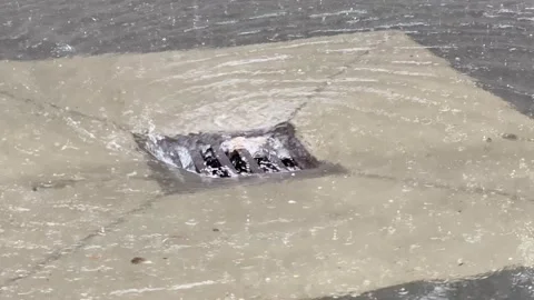 A storm drains overwhelming sewer systems Video stock 144632652