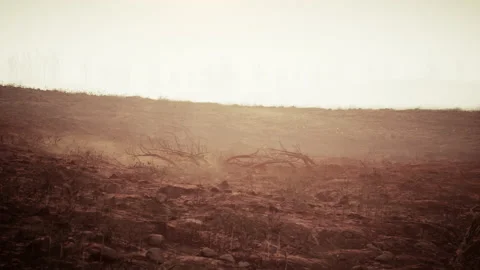 Storm of dust and sand in desert Stock Footage 238829425