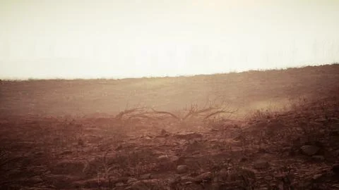 Storm of dust and sand in desert Stock Illustration