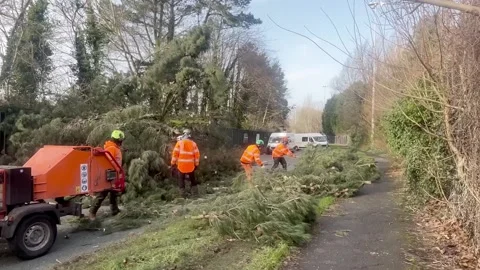 Storm Eowyn: Trees removed from road in Liverpool  Video stock 299907796