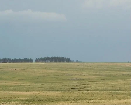 Storm in field Stock Footage 920631