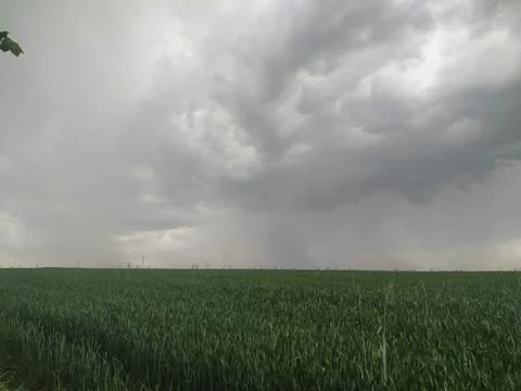 Storm in the field Foto stock