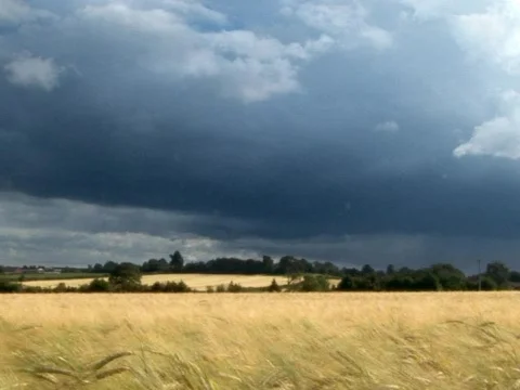 Storm Stock Footage 490166