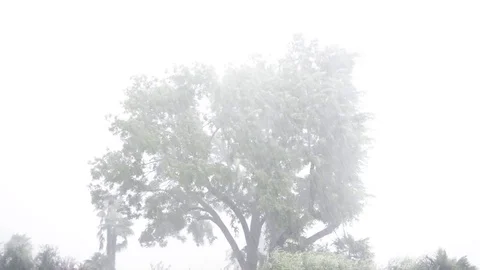 Storm Video stock 75388322