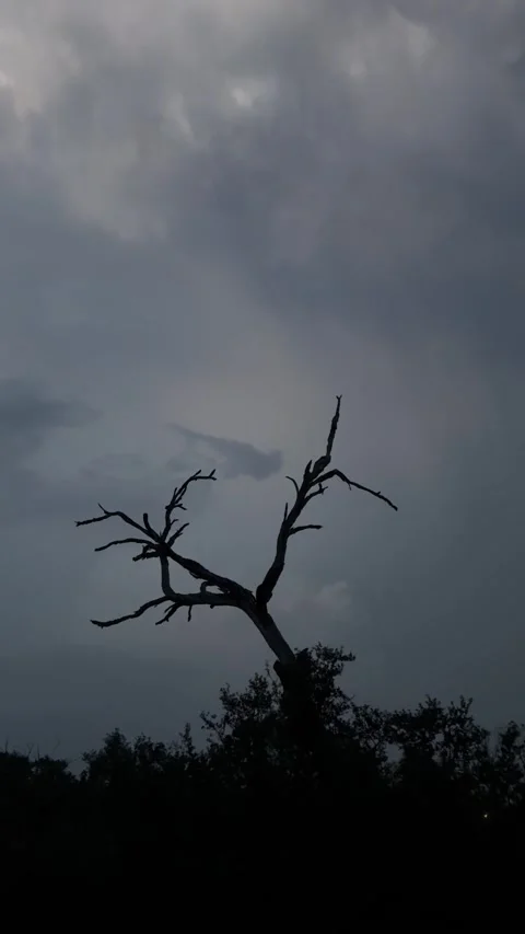 Storm Stock Footage 320738619