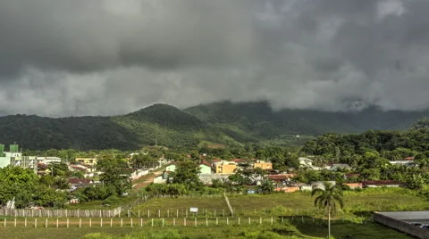 Storm formation in jungle - Timelapse Stock-Footage 47818053