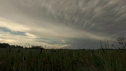 Storm forming over rice fields Stock Footage 92376819