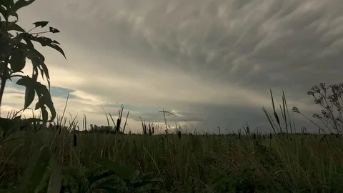 Storm forming over rice fields Stock Footage 92376841