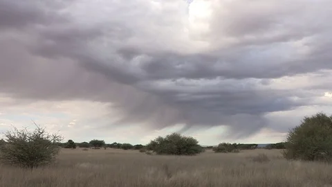 Storm front in Africa Stock Footage 84539092