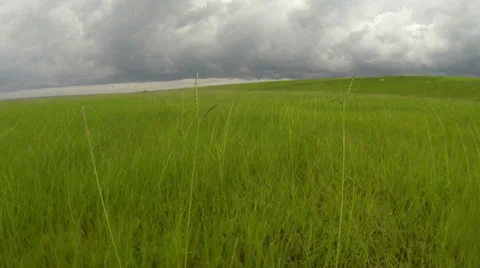 Storm Grass Motion Summer Drive Vidéo 27244232