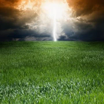 Storm, green field Stock Illustration