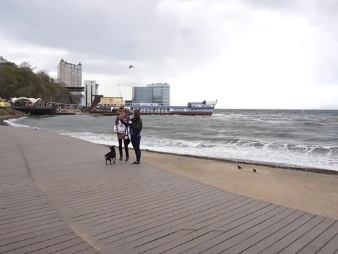 Storm in harbor 7 Vídeo Stock 75344124