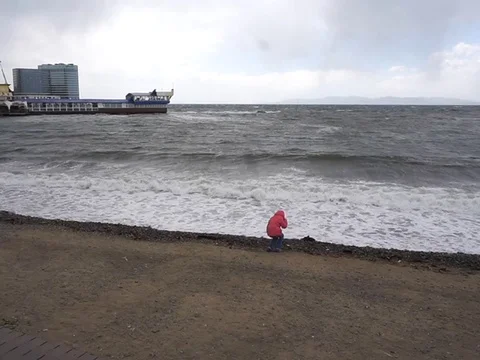 Storm in harbor 9 Vídeo Stock 75344140