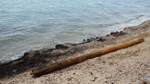 Storm has thrown out an ancient mast on the sandy seashore. Video stock 97584658
