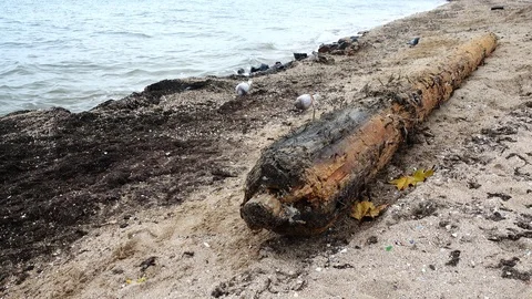 Storm has thrown out an ancient mast on the sandy seashore. Stock Footage 97585373