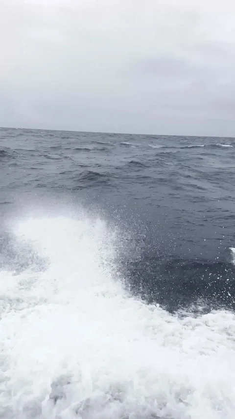 Storm. High waves. White foam on wind. Side view low on water. Wind breaks waves Video stock 267526845