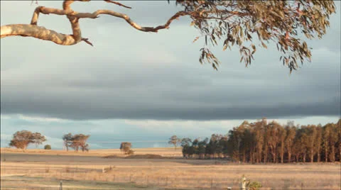 Storm on the horizon Stock Footage 22648935