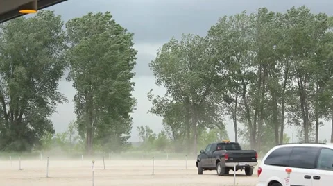 Storm kicks up dust and blows trees Video stock 7738391