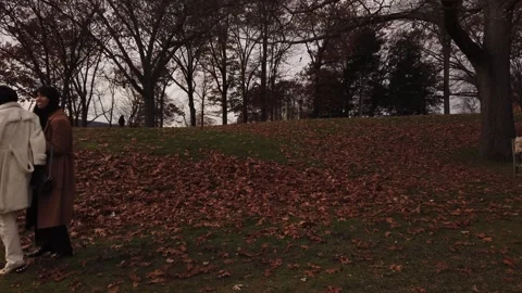 Storm King Art Center in Orange County, NY Outdoor Sculpture, Art Stock Footage 243402637