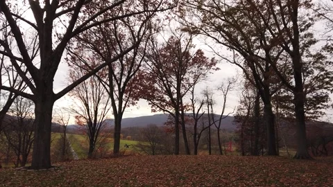Storm King Art Center in Orange County, NY Outdoor Sculpture, Art Stock Footage 243402654