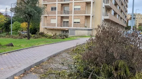 Storm Kirk Aftermath In Braga Stock Footage 288770832