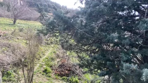 Storm in Les Cévennes Vídeo Stock 346501036
