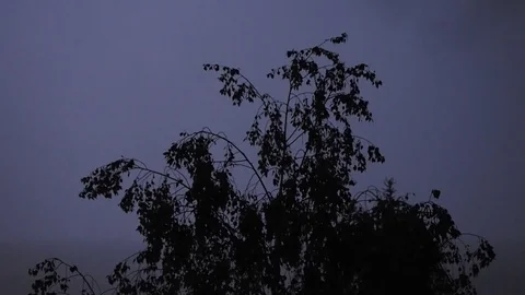 Storm with lightning Stock Footage 90310901