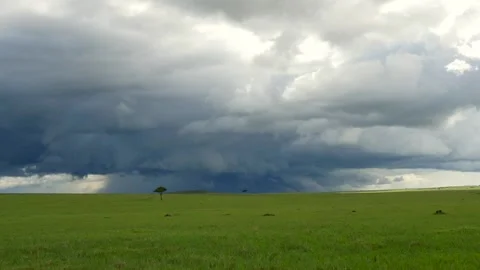 Storm in Masai Mara Stock Footage 133095333