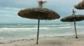 Storm the Mediterranean Sea and palm-leaf parasols on the beach in strong winds HD Footage