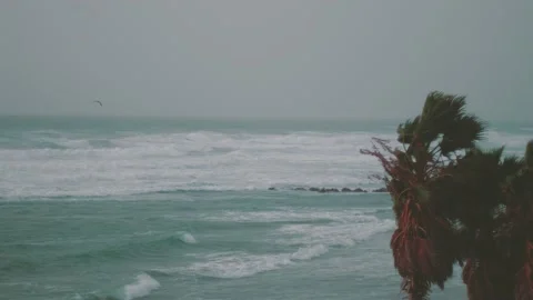 Storm in the Mediterranean Sea Stock Footage 147833355