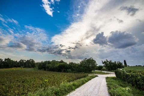 Storm over the fields Stock Photos