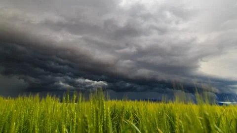 Storm over the fields Stock Photos