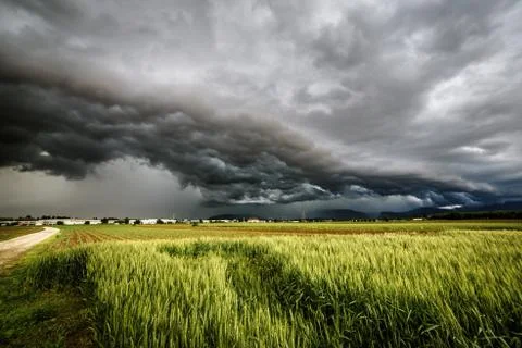 Storm over the fields Stock Photos
