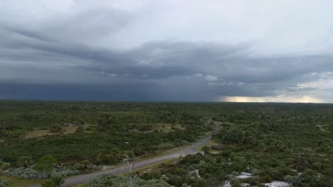 Storm over a forest Stock Footage 162114440