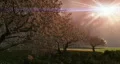 Storm over the Garden of Eden HD Footage