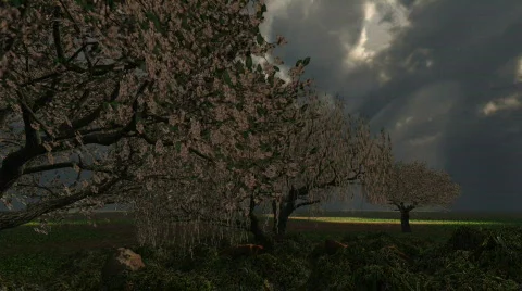 Storm over the Garden of Eden Stock Footage