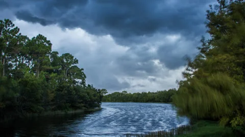 Storm Over Lake Jupiter Florida with Cypress Trees Stock Footage 42847745